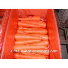 Beste Qualität frischer Karottenpreis